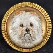 An 18 ct gold Essex crystal brooch Worked with the portrait of a dog. 3.5 cm diameter.