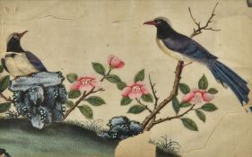 Three Chinese Export rice paper paintings Worked with exotic birds amongst floral sprays,