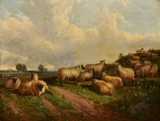 Attributed to CHARLES JONES (1836-1892) British Sheep in Landscape Oil on canvas Signed and