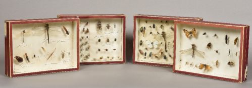 Four small glazed cases Each containing various insect specimens. Each 26 cm wide.