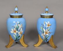 A pair of 19th century Bohemian glass lidded vases Each painted with insects amongst floral sprays,