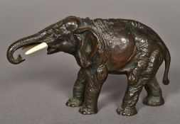 An early 20th century patinated bronze elephant Naturalistically modelled, with ivory tusks. 13.