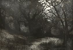 ENGLISH SCHOOL (20th century) Olive Trees II Limited edition etching Indistinctly signed,