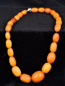 An amber bead necklace 41 cm long.