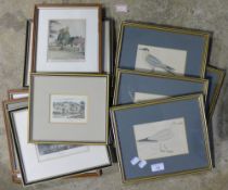 A quantity of ornithological and other prints,