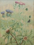 COLIN WYATT (20th century) British Butterfly Amongst Flowering Thistles Oil on canvas Signed and