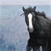 HADA (born 1971) Mongolian Wild Oil on canvas Signed to verso 102 cm square,