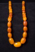 A butterscotch amber bead necklace The beads of graduated form. 52 cm long.