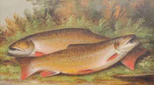 HARRY SMITH (19th century) American A Pair of Trout on a Ferny Bank Oil on canvas Signed 49 x 28 cm,