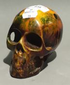 A model skull