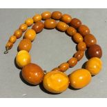 A vintage string of butterscotch graduated amber beads