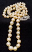 A 1920s cultured pearl necklace The beads of graduated form with a diamond set clasp. 53 cm long.