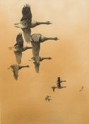 DAVID KNIGHTLEY WOLFE-MURRAY (Known a Fish-Hawk) (1897-1970) British (AR) Geese in Flight Grisaille