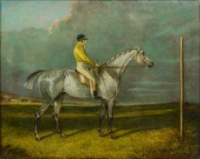 ENGLISH SCHOOL (19th century) Portrait of a Grey with Jockey Up Oil on canvas, framed and glazed.