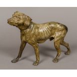 A cold painted model of a retriever Naturalistically modelled wearing a collar. 33 cm long.