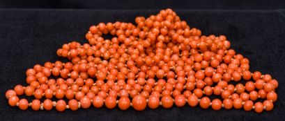 A finely graduated string of coral beads