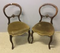 A pair of Victorian balloon back chairs and a mahogany tripod table