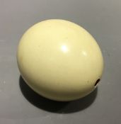 An ostrich egg