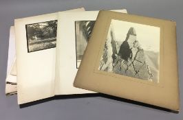 A collection of various vintage photographs,