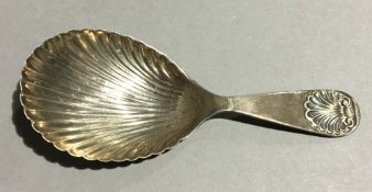 A silver caddy spoon