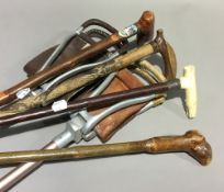 A quantity of walking sticks,