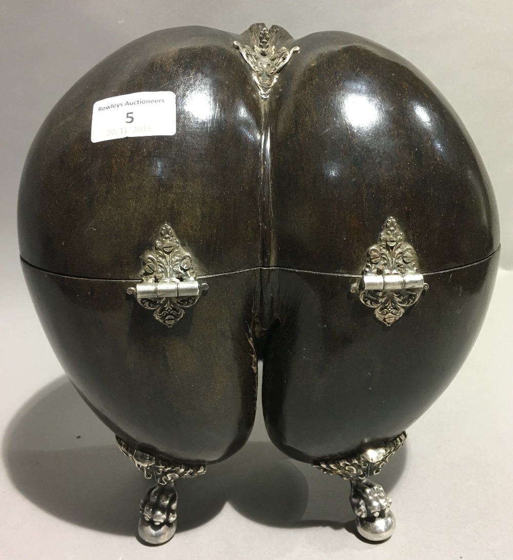 A 19th century white metal mounted coco-de-mer Hinged as a box, mounted on cast ball-and-claw feet. - Bild 2 aus 7