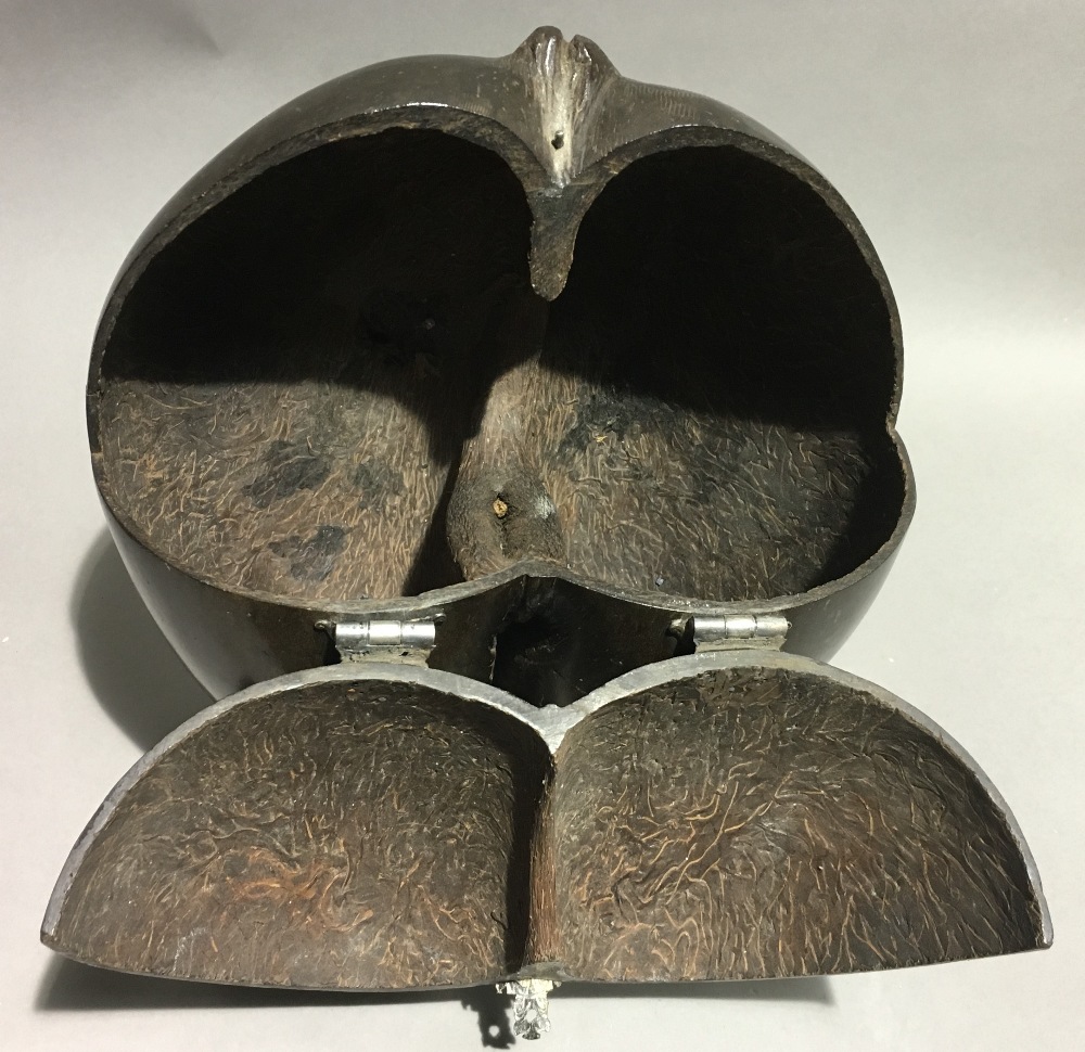 A 19th century white metal mounted coco-de-mer Hinged as a box, mounted on cast ball-and-claw feet. - Bild 6 aus 7