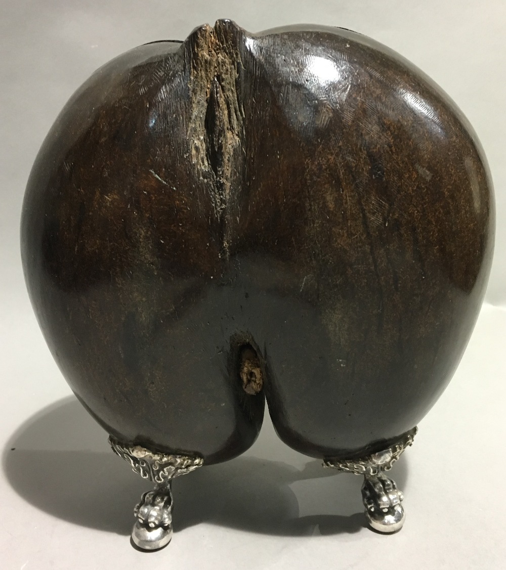 A 19th century white metal mounted coco-de-mer Hinged as a box, mounted on cast ball-and-claw feet. - Bild 4 aus 7