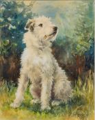 NINA SCOTT LANGLEY (1890-1964) British (AR) Dog Portrait Watercolour, signed, framed and glazed.