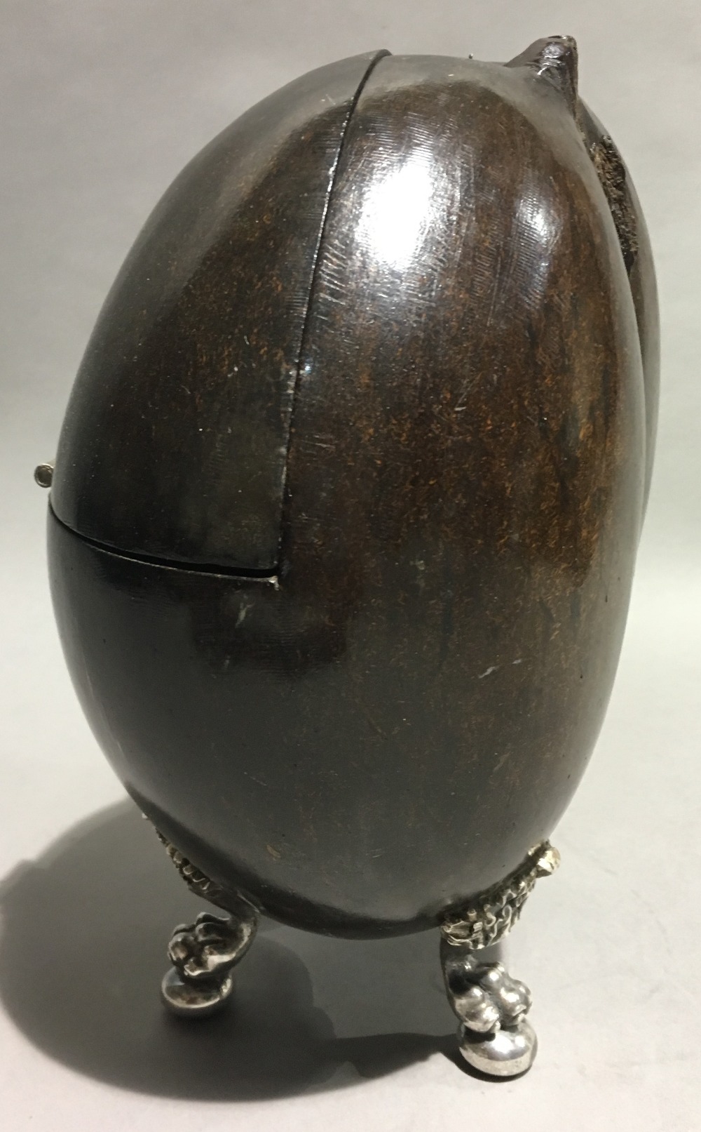 A 19th century white metal mounted coco-de-mer Hinged as a box, mounted on cast ball-and-claw feet. - Bild 5 aus 7