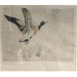 GEORGE VERNON STOKES (1873-1954) British (AR) Shell Drake Limited edition coloured print,