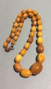 An amber bead necklace (24.