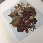 An early 20th century book of flower pressings