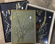 Three floral paintings by D V TINDAL