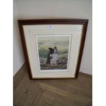 Framed and mounted signed limited edition No 136/400 Steven Townsend print of Border Collie in