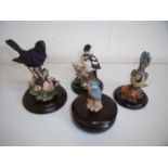 Group of four Country Artist bird figures on wooden plinths