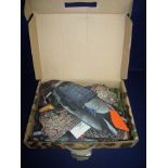 Six pack box of Mallard Nra Fud Decoys