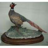 A large Border Fine Arts style figure of a pheasant on oval stepped wooden base