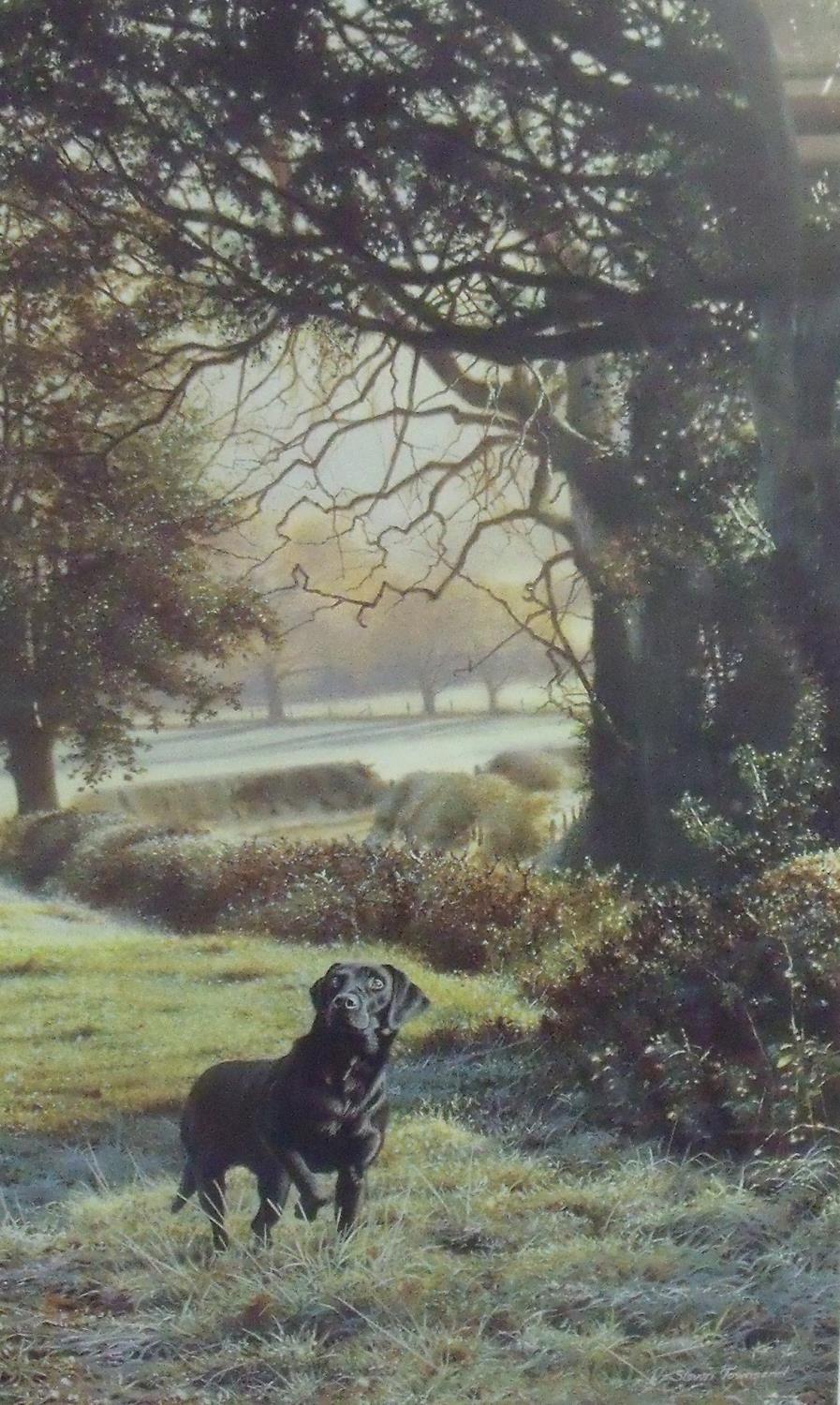 Framed and mounted limited edition No 39/350 signed Steven Townsend print of black Labrador in - Bild 2 aus 2