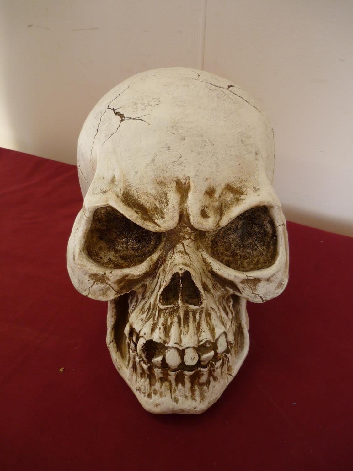 Extremely large resin skull (28cm high) - Image 2 of 2