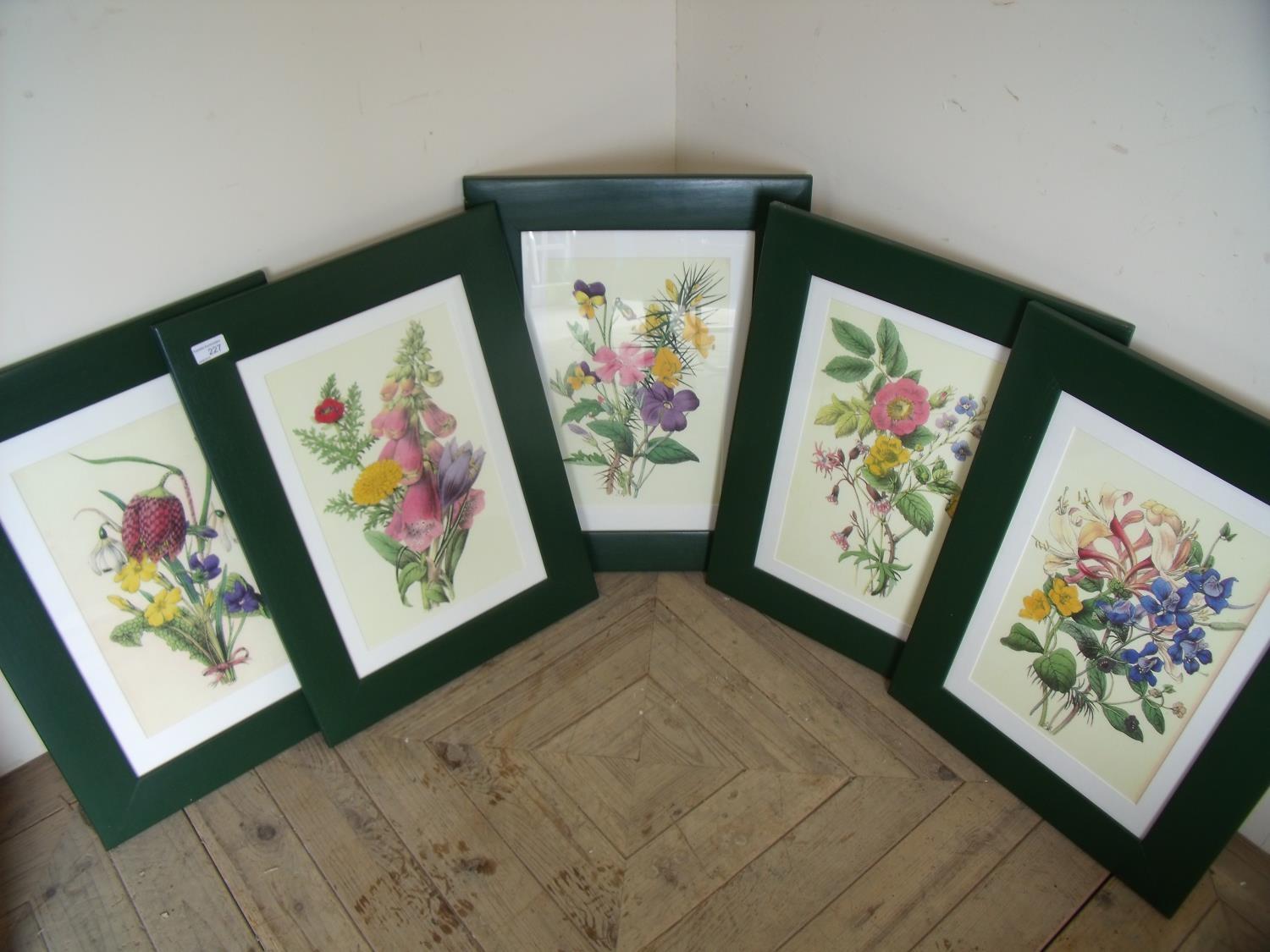 Set of five framed and mounted botanical prints (44cm x 59cm including frames)