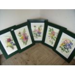 Set of five framed and mounted botanical prints (44cm x 59cm including frames)