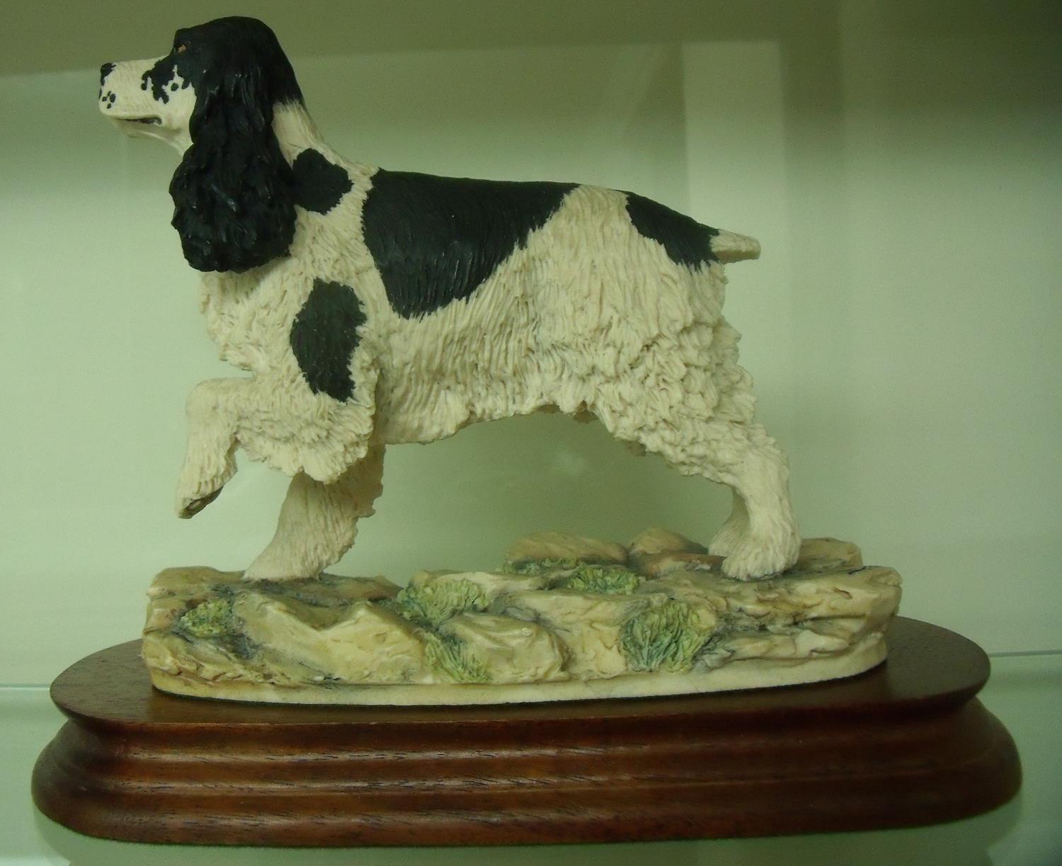 Border Fine Arts figure of a black & white Spaniel on wooden plinth