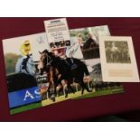 Selection of colour photo signed by jockeys including Timmy Murphy, Richard Johnson, Paddy