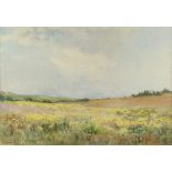 Property of a lady - Lowes Dalbiac Luard (1872-1944) - MEADOW IN LANDSCAPE - watercolour, 10.45 by