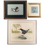 Property of a deceased estate - Ronald Beaven (modern) - DIPPER - watercolour, 12.5 by 16.25ins. (