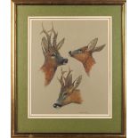 Property of a lady of title - Brian Rawling (b.1931) - ROE DEER HEADS - pastel, 14.9 by 11.95ins. (