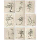 English school (mid 19th century) - STUDIES OF TREES - a folio of nine pencil drawings on D & C