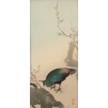 A collection of Japanese woodblock prints - Peacock & Prunus (early 20th century) - mounted but