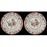 A pair of Chinese famille rose plates, Qianlong period (1736-1795), each painted with flowers to the